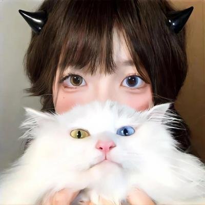 编号17